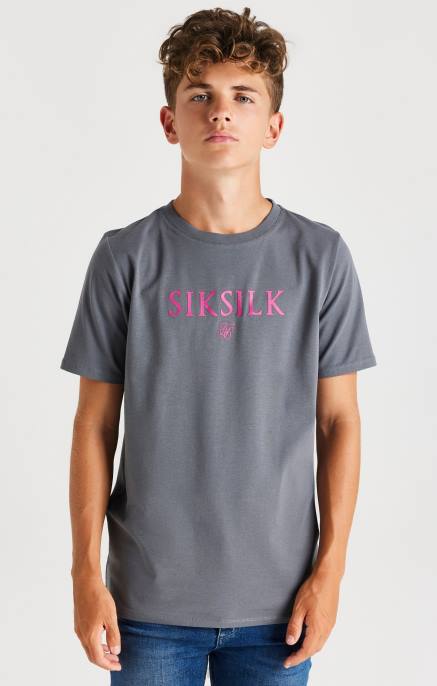 SikSilk harmaa merkkinen t-paita pojat 6LR8280 vaatteet